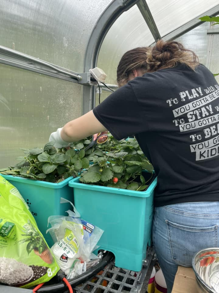 ag29 agriculture initiative
