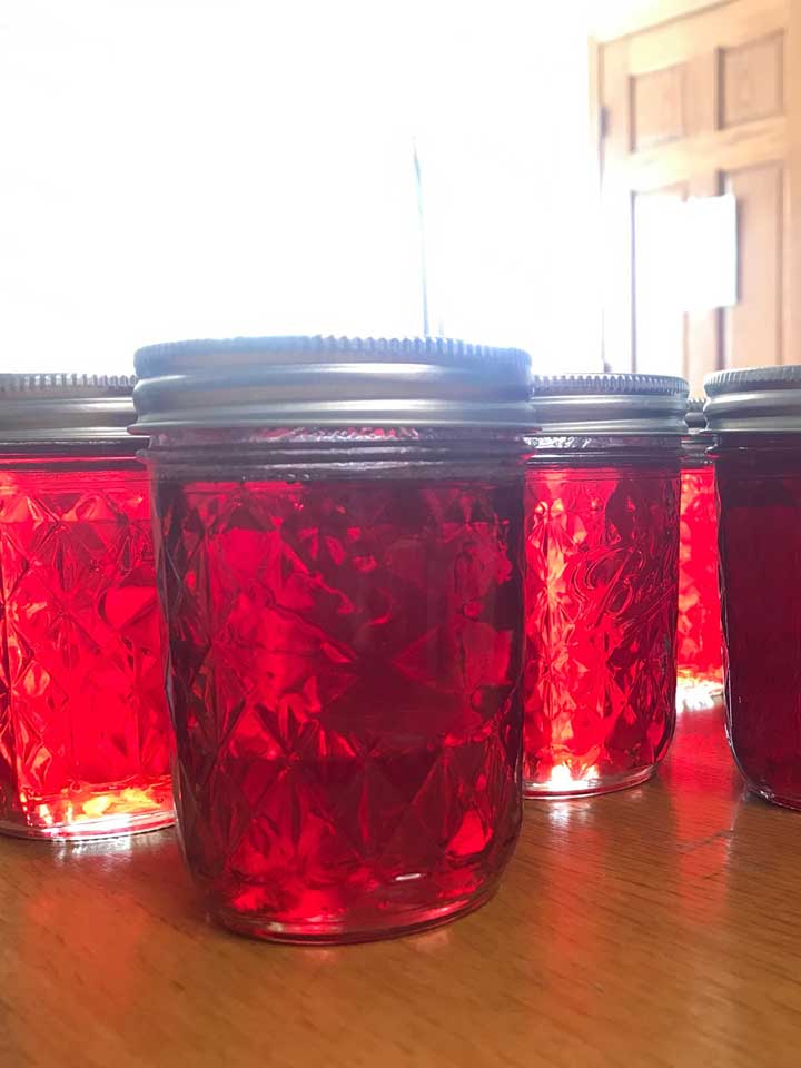 food-preservation food preservation