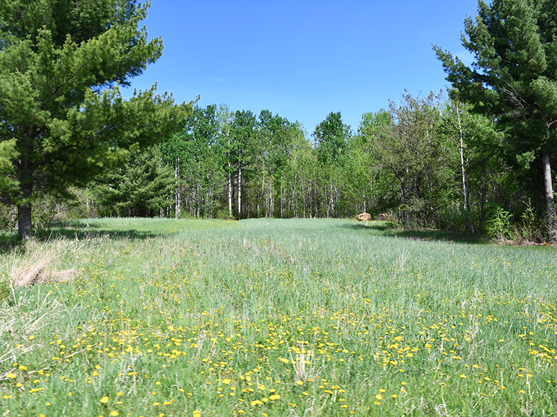 DSC_0502-web
